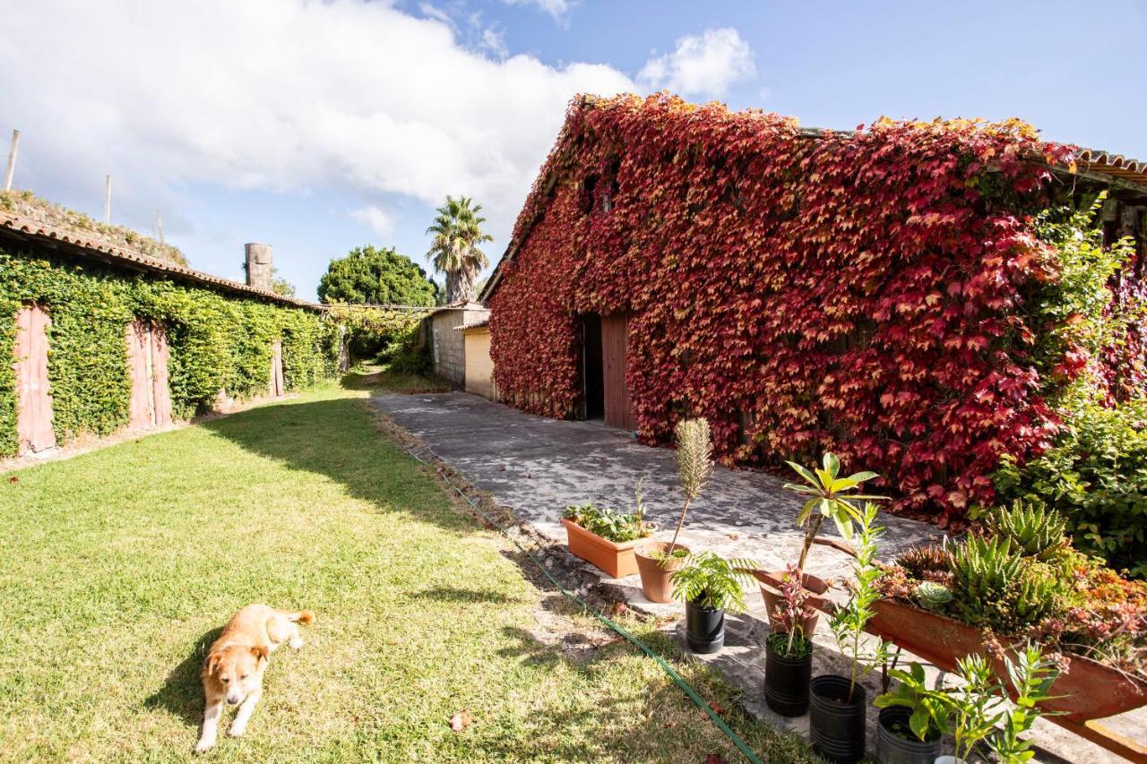 Casa Da Varzea Ponte de Lima Kültér fotó